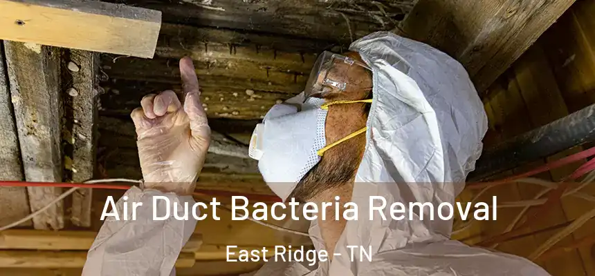 Air Duct Bacteria Removal East Ridge - TN