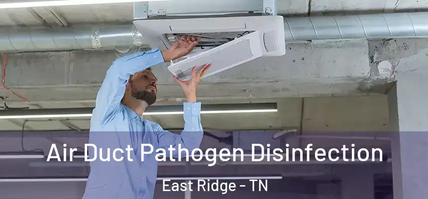 Air Duct Pathogen Disinfection East Ridge - TN