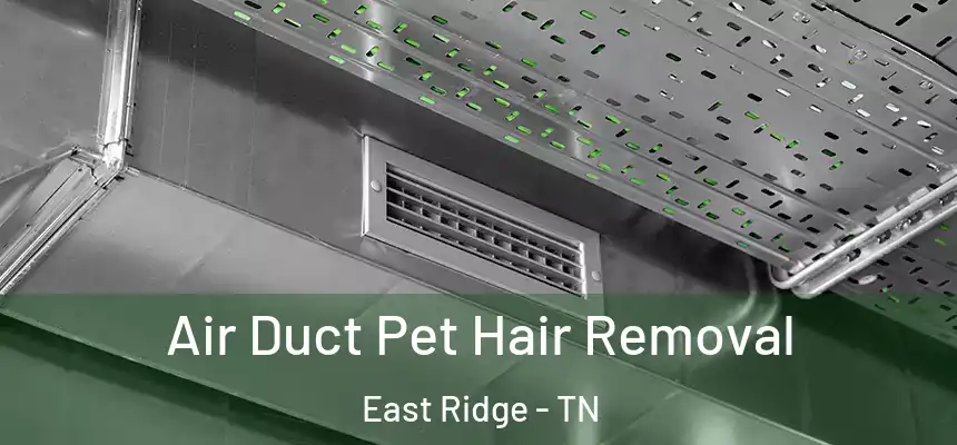 Air Duct Pet Hair Removal East Ridge - TN