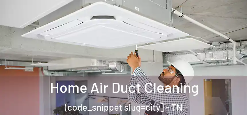  Home Air Duct Cleaning (code_snippet slug=city] - TN