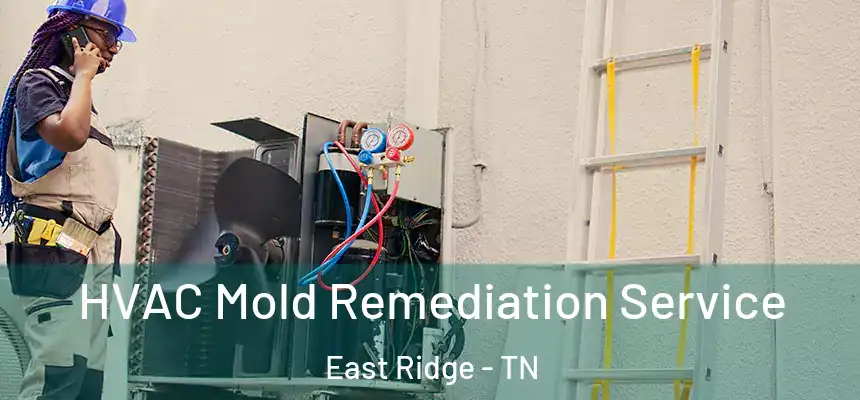 HVAC Mold Remediation Service East Ridge - TN