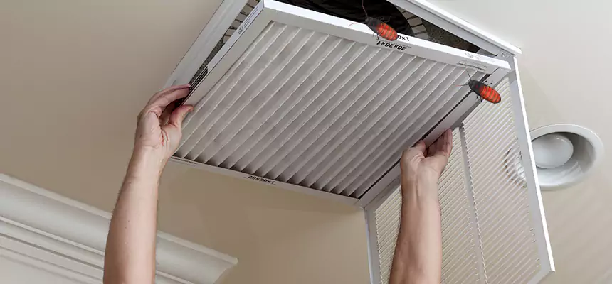 Preventive Cockroach-Proofing for Ducts in East Ridge