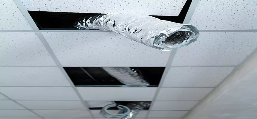 Our Air Duct Pet Hair Removal Services in East Ridge, TN