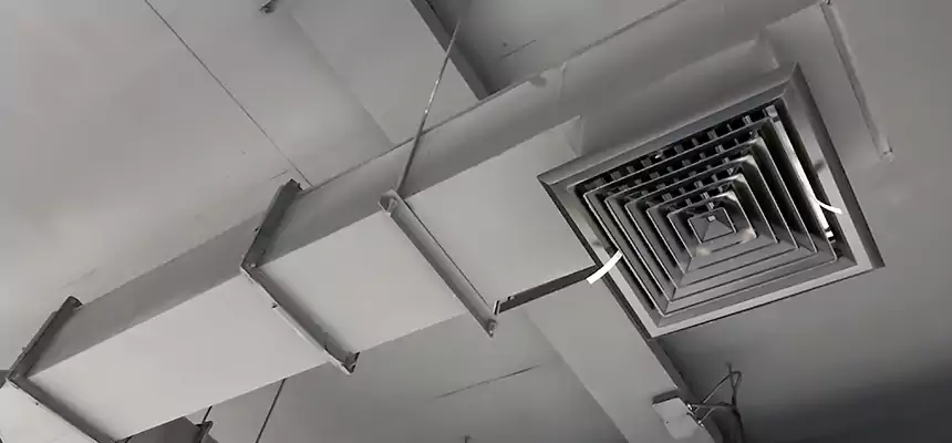 Our Rodent Droppings In Vents Services in East Ridge, TN