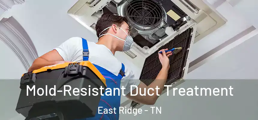 Mold-Resistant Duct Treatment East Ridge - TN