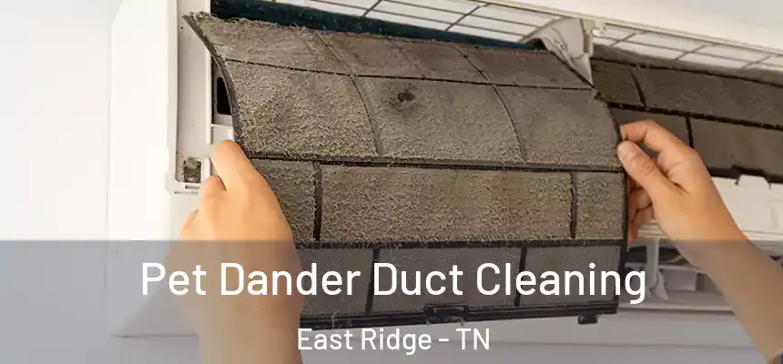  Pet Dander Duct Cleaning East Ridge - TN