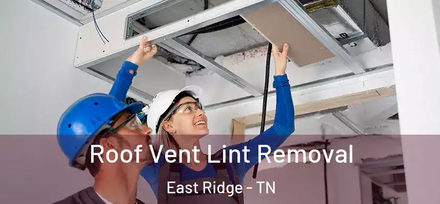  Roof Vent Lint Removal East Ridge - TN