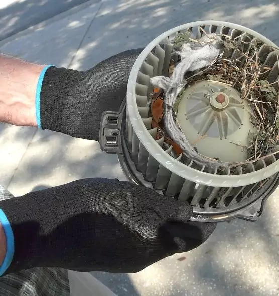 About Air Duct Rat Removal in East Ridge, TN