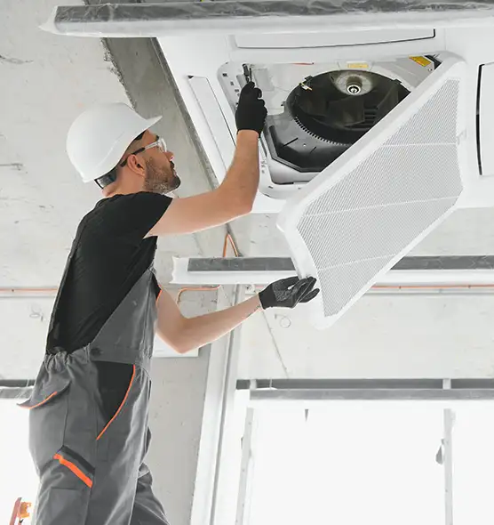 About Air Duct Rodent Removal in East Ridge, TN