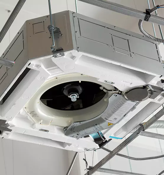 Professional Roof Vent Lint Removal East Ridge, TN