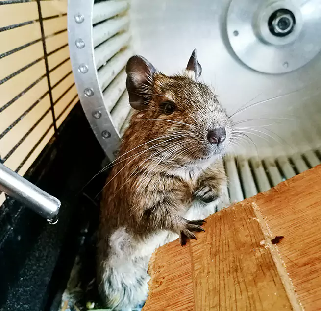 Why Homeowners & Businesses Trust Us East Ridge, TN