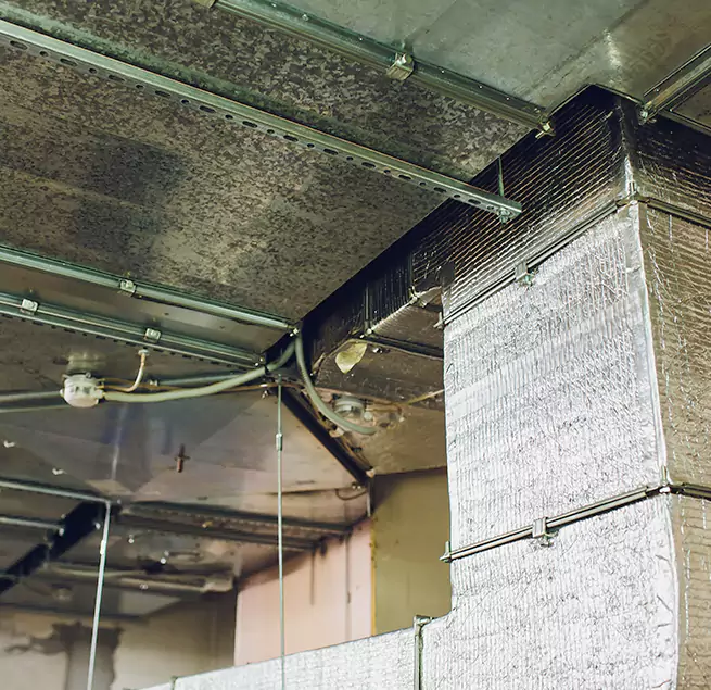 Why Homeowners & Businesses Trust Us in East Ridge, TN?